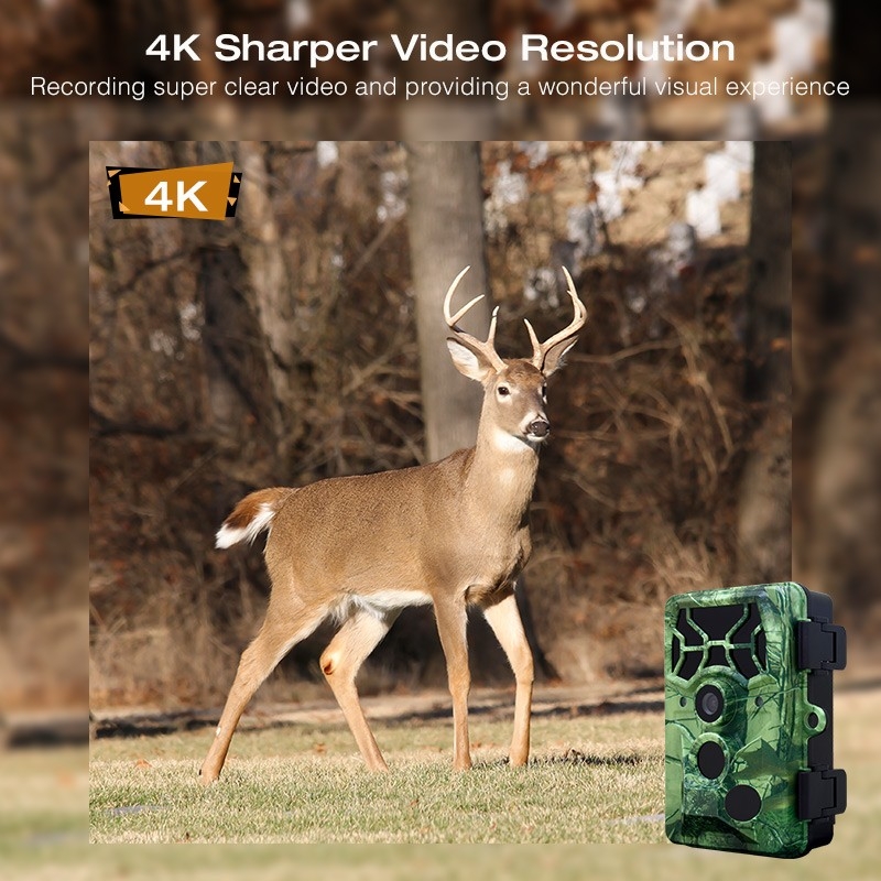 hunting cameras 4k waterproof IP66