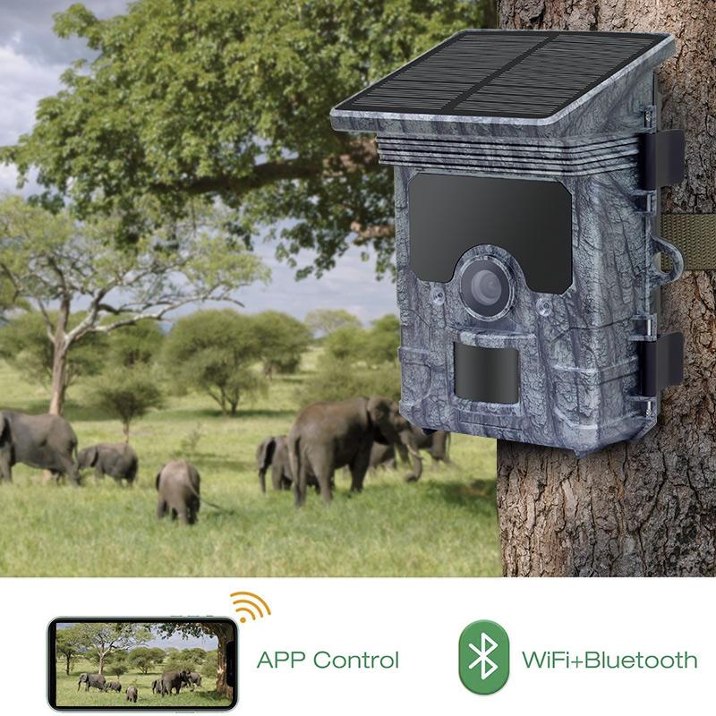 Soar power trail cameras for security